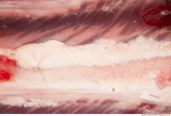 Photo Textures of RAW Pork Meat